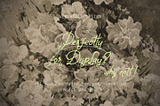 Jelina Nostalgia - Cozy Handwritten, a Handwritten Font by Myn Type (Thumbnail 12 of 15)
