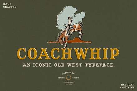 Coachwhip -  A Western Font