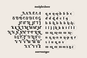 Tonight Show, a Serif Font by nurrontype (Thumbnail 14 of 14)
