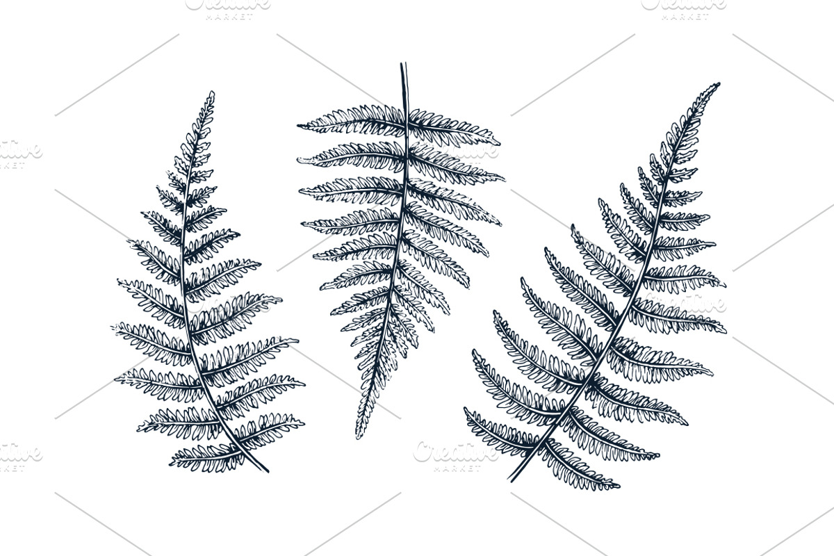 Hand drawn isolated flowers set, an Object Graphic by SpaceNymph (Photo 4 of 5)