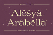 Belinzie Rough, a Serif Font by Craft Supply Co. (Thumbnail 3 of 8)