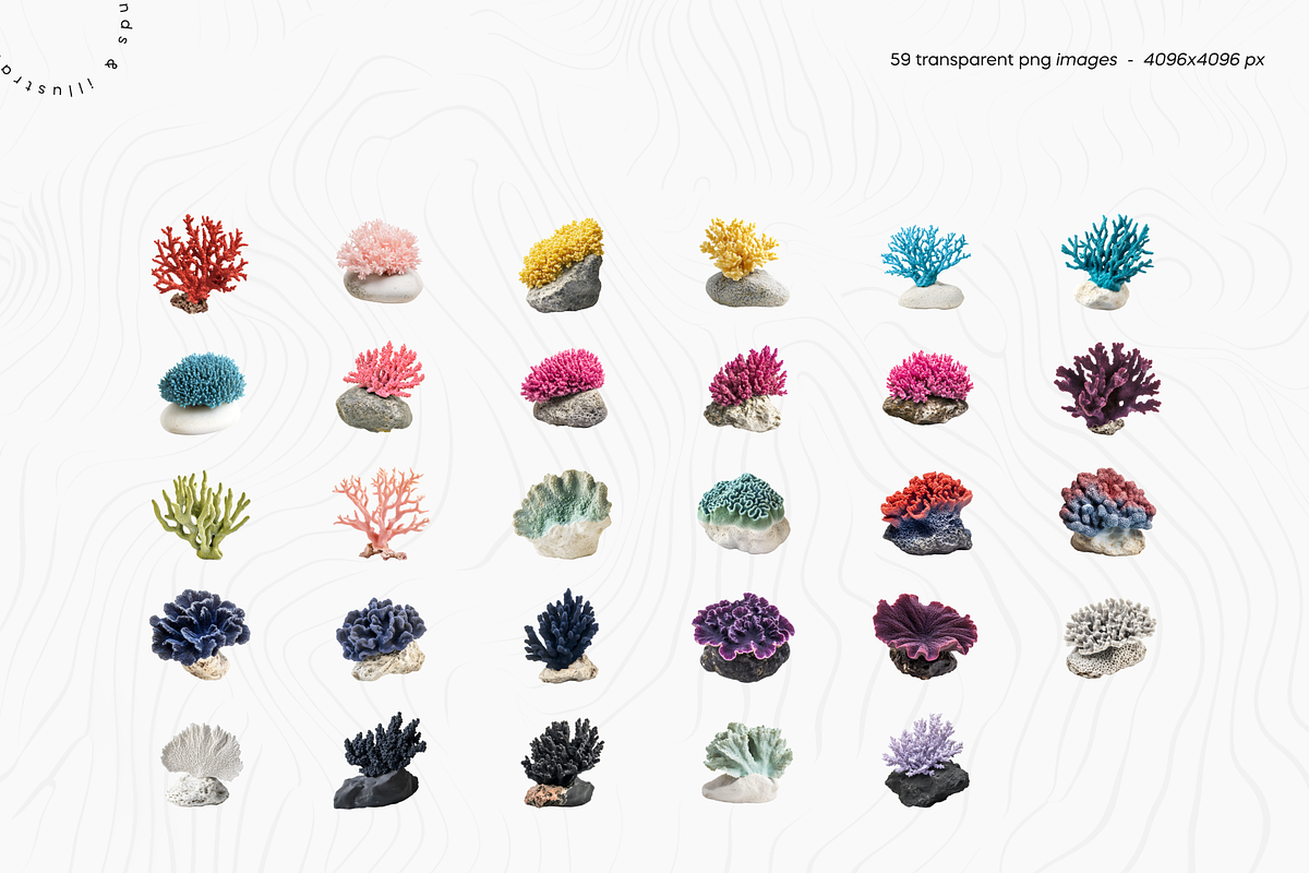 Ocean Nature Collection | Coral Pack, an Object Graphic by Lumeno (Photo 6 of 10)