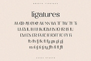Breath | Modern Ligature Serif, a Serif Font by Pentagonistudio (Thumbnail 11 of 11)