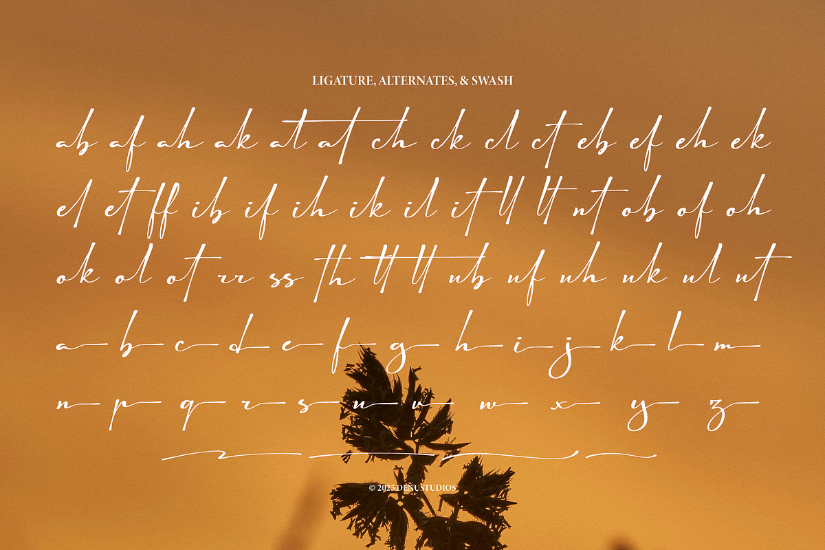 Astelafisa | Classic Signature Font, a Script Font by Denustudios (Photo 10 of 12)