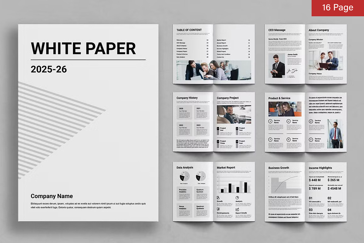 White Paper Bundle, a Brochure Template by ContestDesign (Photo 3 of 30)