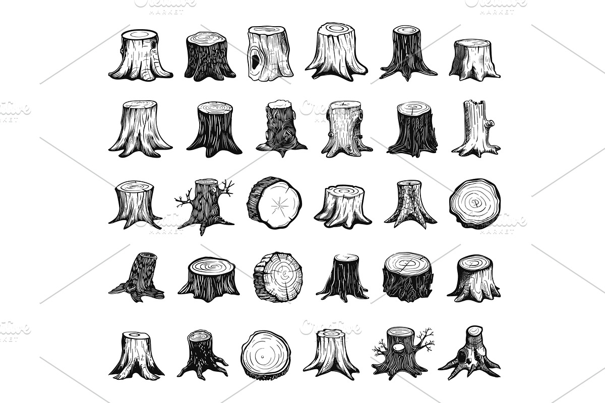 Doodle Style Different Tree Stumps, an Object Illustration by LadadikArt