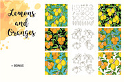 Lemons and Oranges, a Food Illustration by Imaginasty (Thumbnail 5 of 5)