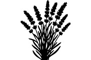 Lavender Flower Silhouette, an Object Graphic by Designer_Momina (Thumbnail 12 of 20)