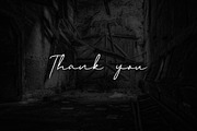 Palmori Font | Brush Signature, a Handwritten Font by Jadatype.id (Thumbnail 6 of 6)