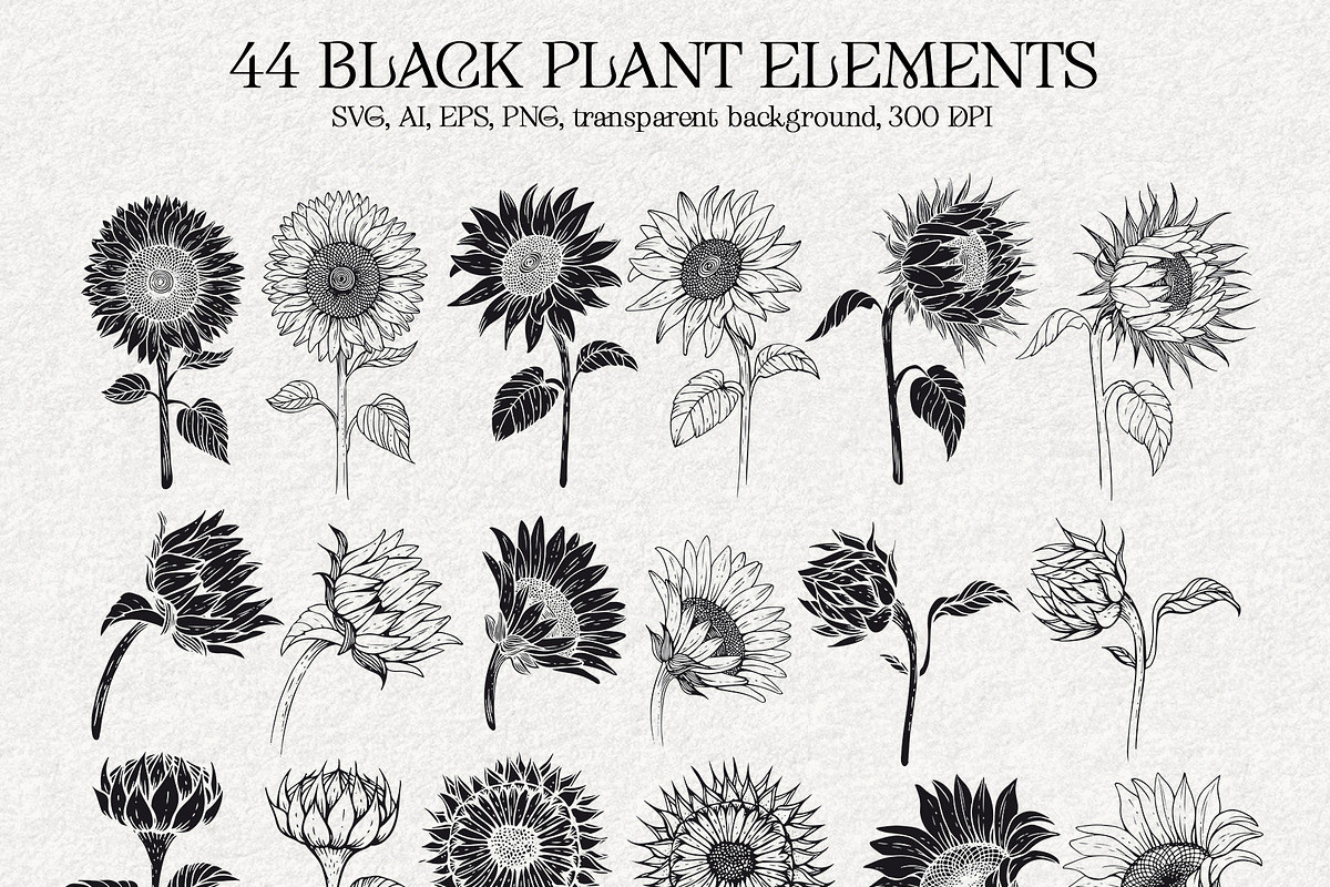 SUNFLOWERS watercolor elements, an Illustration by Elena_Sedova (Photo 8 of 14)