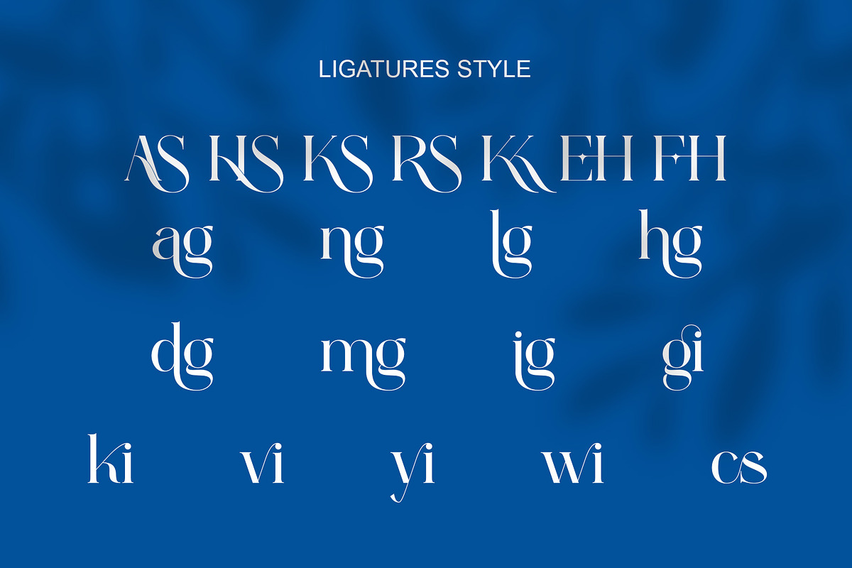 Rugine Elegant Serif Typeface, a Serif Font by Alfinart (Photo 8 of 10)