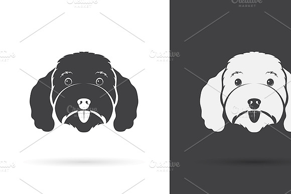 Vector Image Of An Dog Poodle Face