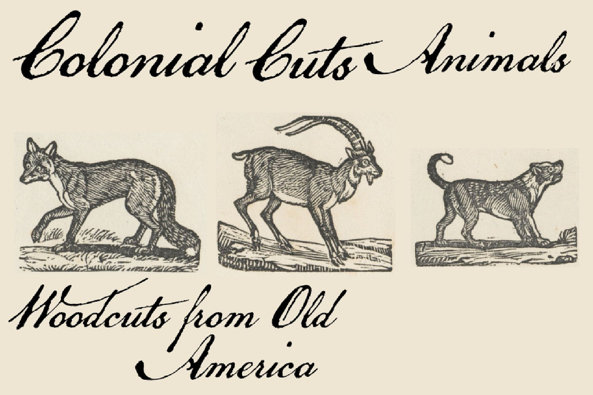 Colonial Cuts ANIMALS 48 images, an Object Graphic by Intellecta Design