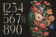 Madgio Modern Elegant Display, a Sans Serif Font by timelesstype.co (Thumbnail 18 of 20)