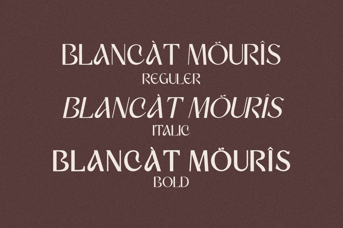 Blancat Mouris Serif, a Serif Font by Typegoals Studio (Photo 2 of 9)
