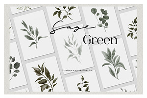 Sage Green. Watercolor Graphic