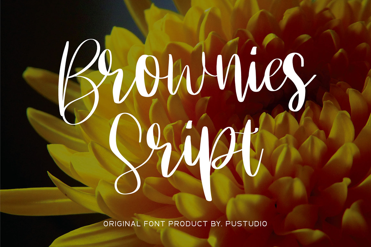 Brownies Script, a Script Font by Pustudio (Photo 1 of 7)