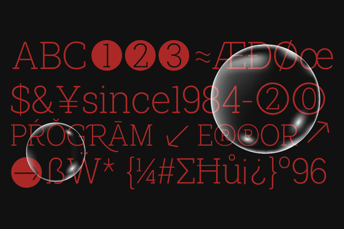 Shemekia, a Slab Serif Font by Areatype (Photo 11 of 15)