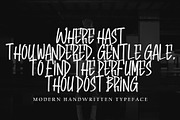 Enternal Disaster, a Handwritten Font by pineungtype (Thumbnail 4 of 6)