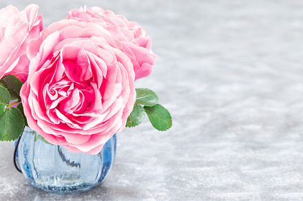Pink roses in vase on gray background, horizontal, copy space, a Nature Photo by iuliia_n