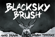 BLACKSKY BRUSH Hand Drawn Typeface, a Handwritten Font by Salty Sweet Creative (Thumbnail 1 of 2)