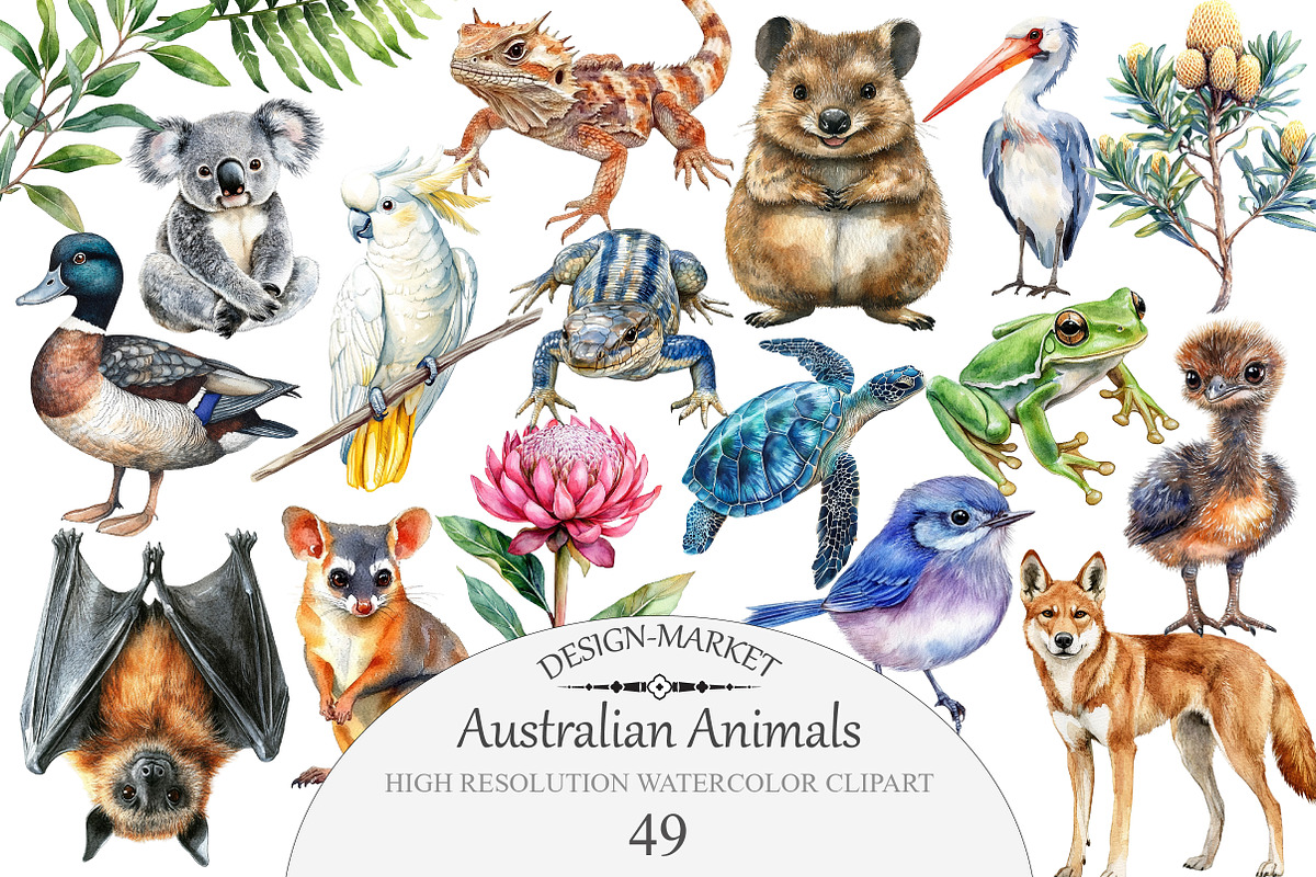 Watercolor Australian Animals Clipar, an Illustration by Design Market (Photo 1 of 5)