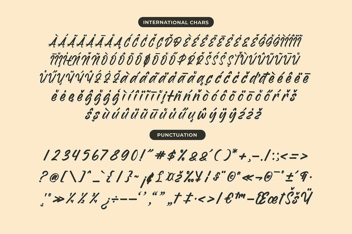 Homes Spaceline Bold Handwritten, a Script Font by Letterena Studios Script (Photo 14 of 15)