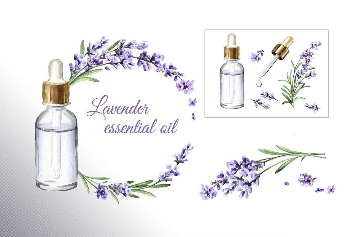 Lavender Mood, a Decorative Illustration by Daria Ustiugova (Photo 8 of 14)