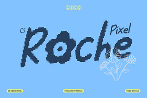 CS Roche Pixel