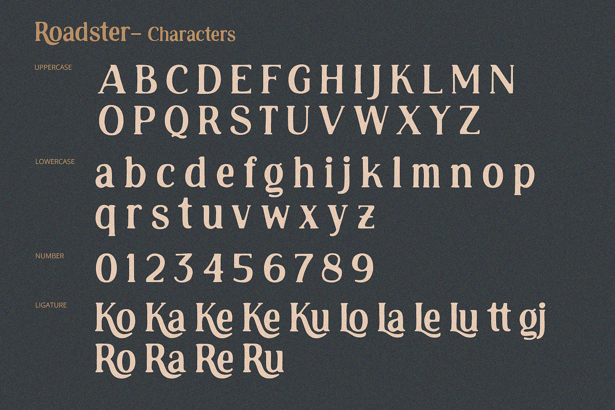 Roadster - Rough Display, a Script Font by Alpaprana (Photo 7 of 9)