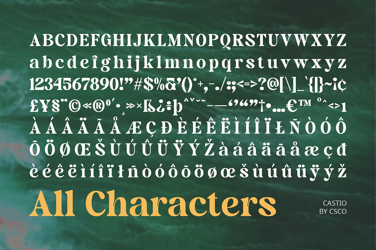 Castio – Bold Font, a Serif Font by Craft Supply Co. (Photo 8 of 8)