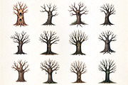 Creepy Tree with Eyes Clipart, an Illustration by CrexoraLab (Thumbnail 2 of 5)