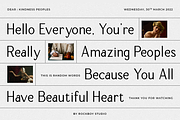 Roseware - Modern Stylish, a Serif Font by RockboyStd (Thumbnail 5 of 12)
