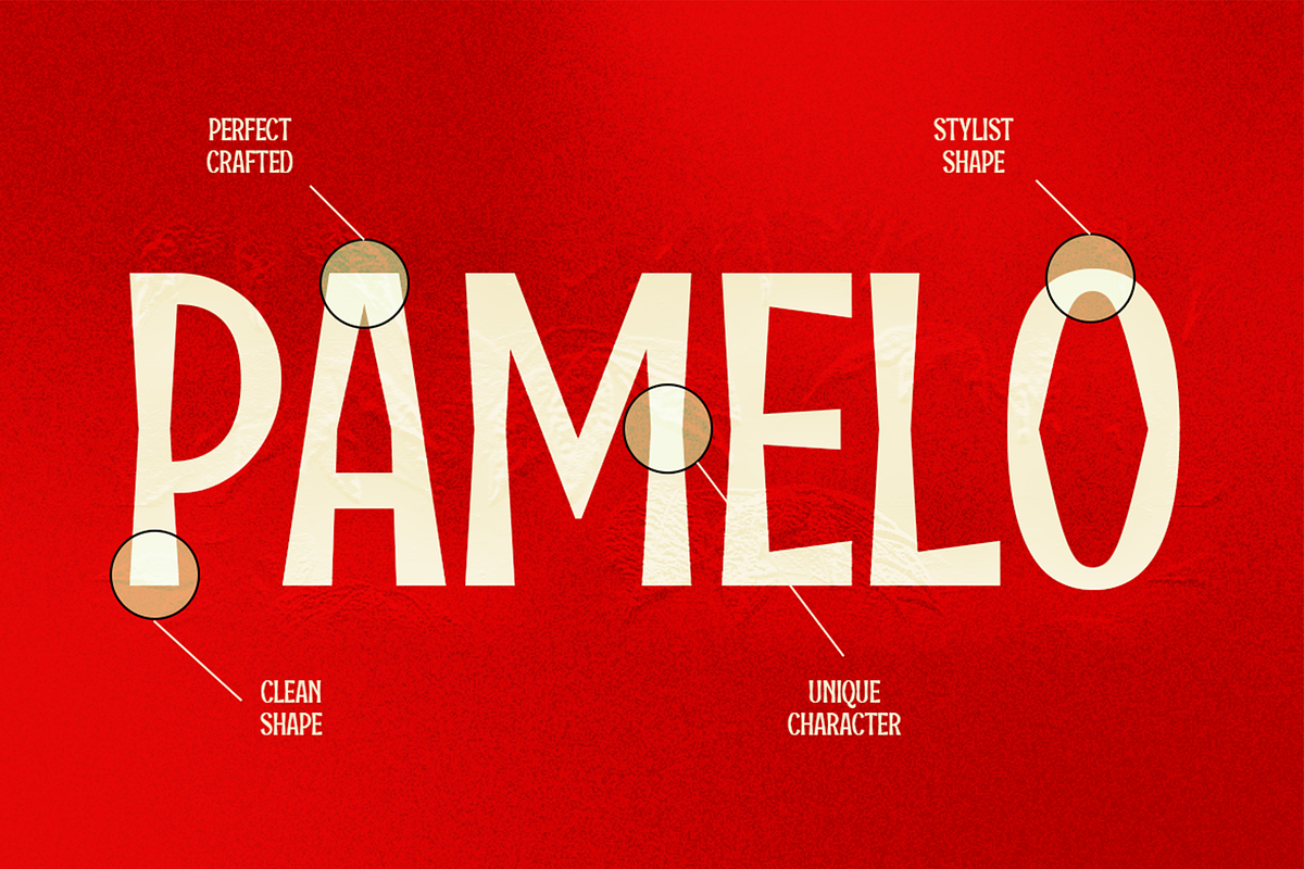 Pamelo - Bold Sans Serif Font, a Sans Serif Font by Pekotype (Photo 10 of 15)