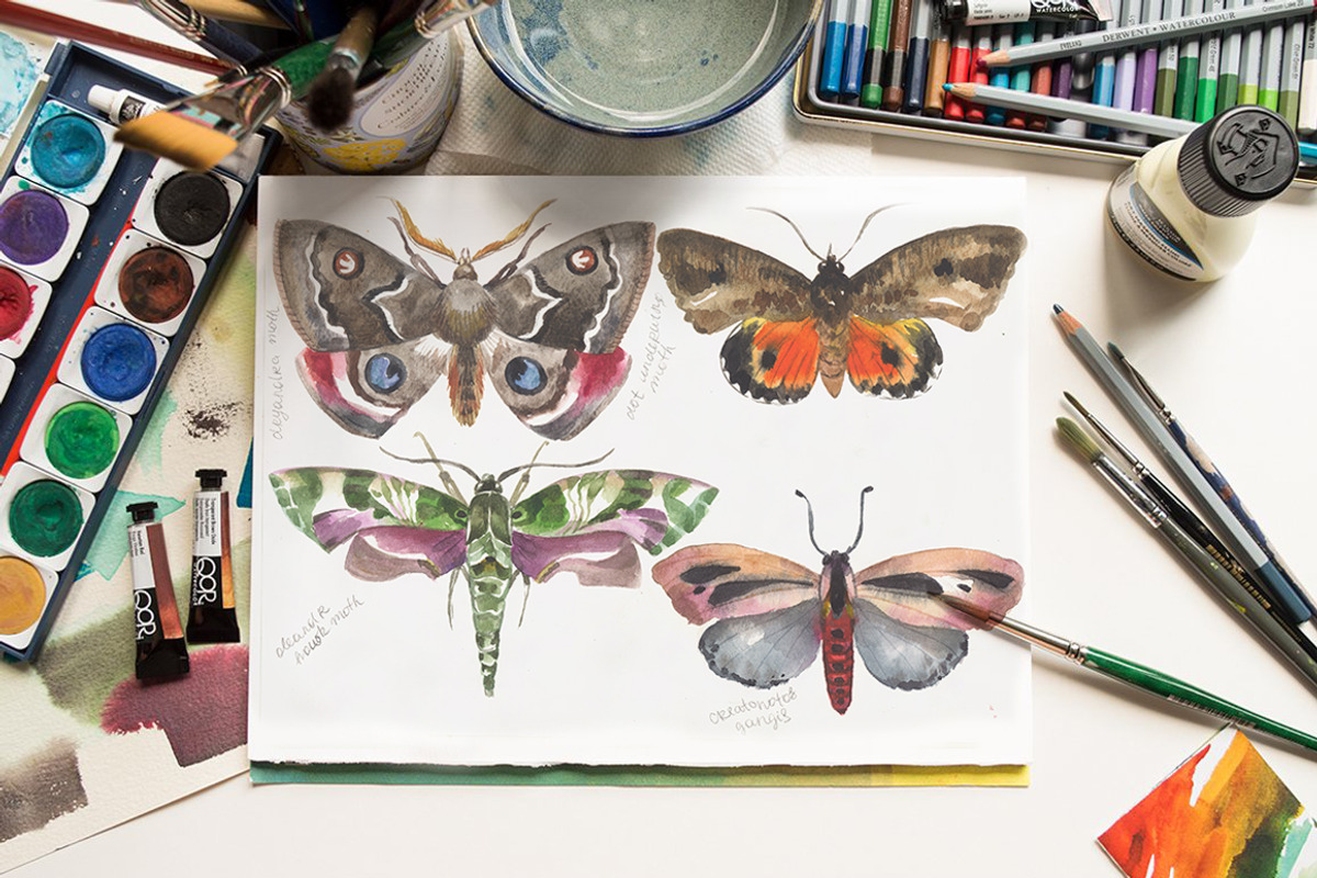 Australian Moths hand painted, an Animal Illustration by FITALARTSNEDIGI (Photo 5 of 8)