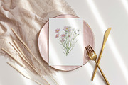 Watercolor Wildflowers Botanical Set, a Decorative Illustration by BarvArt (Thumbnail 8 of 22)