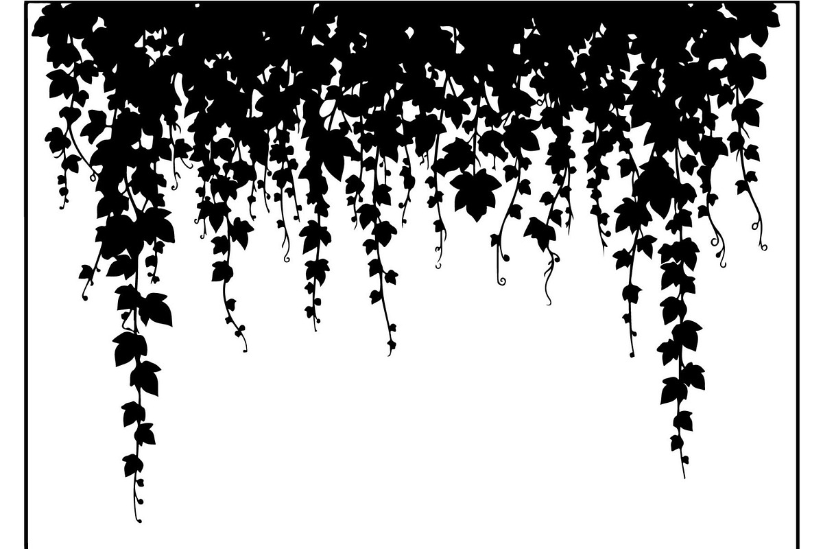 Hanging Vines Silhouette, an Object Graphic by Creativeshirt (Photo 15 of 20)
