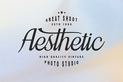 Asefine, a Script Font by Lucky Type (Thumbnail 12 of 15)