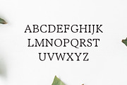 Maddex Serif 3 Font Family, a Serif Font by Creativetacos (Thumbnail 2 of 4)