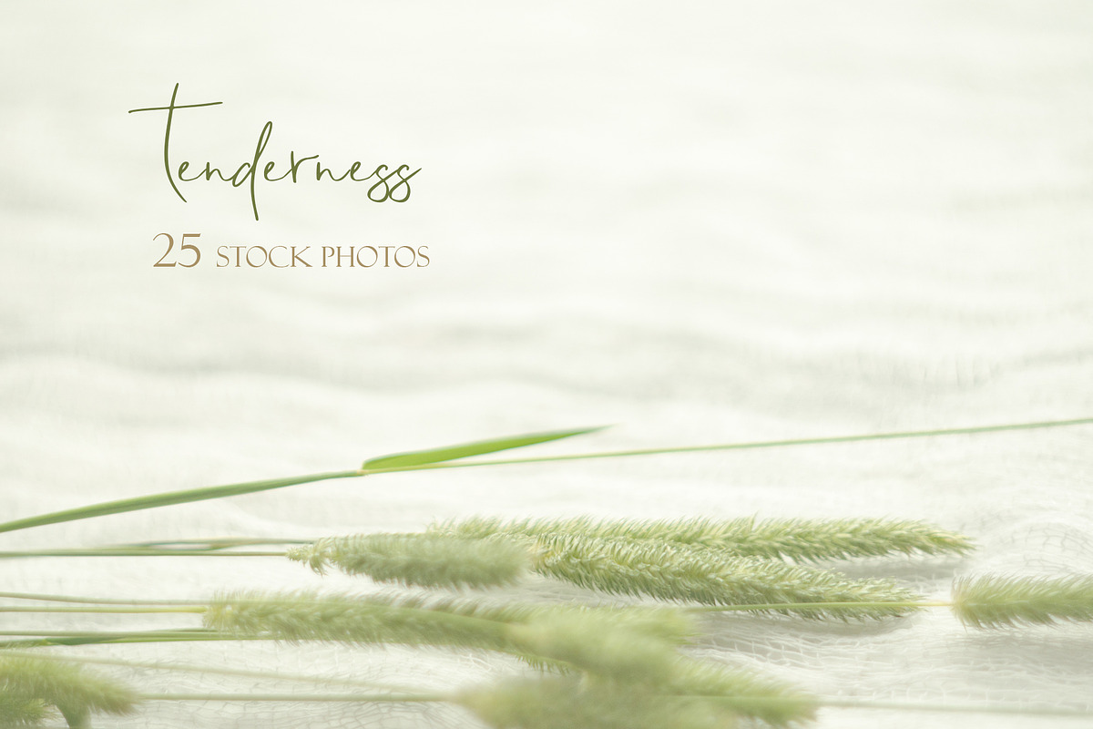 Tenderness. Wedding Mockup Photo Set, a Mockup by NataliArkushArt (Photo 12 of 17)