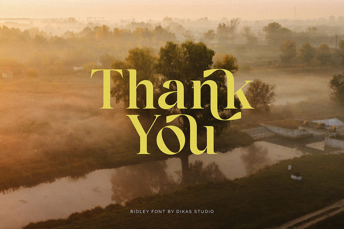 Ridley, a Serif Font by Dikas Studio (Photo 10 of 10)
