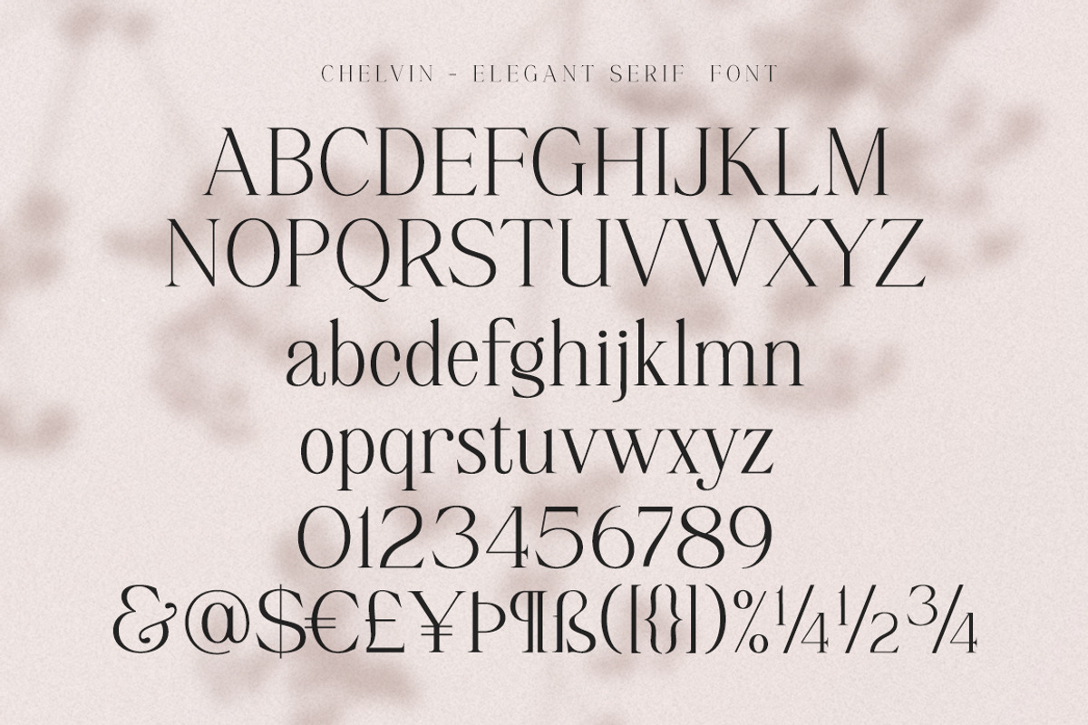 Chelvin Elegant Serif, a Serif Font by Dora Typefoundry (Photo 8 of 20)