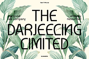 TAN - SUMMERS, a Sans Serif Font by TanType (Thumbnail 4 of 10)