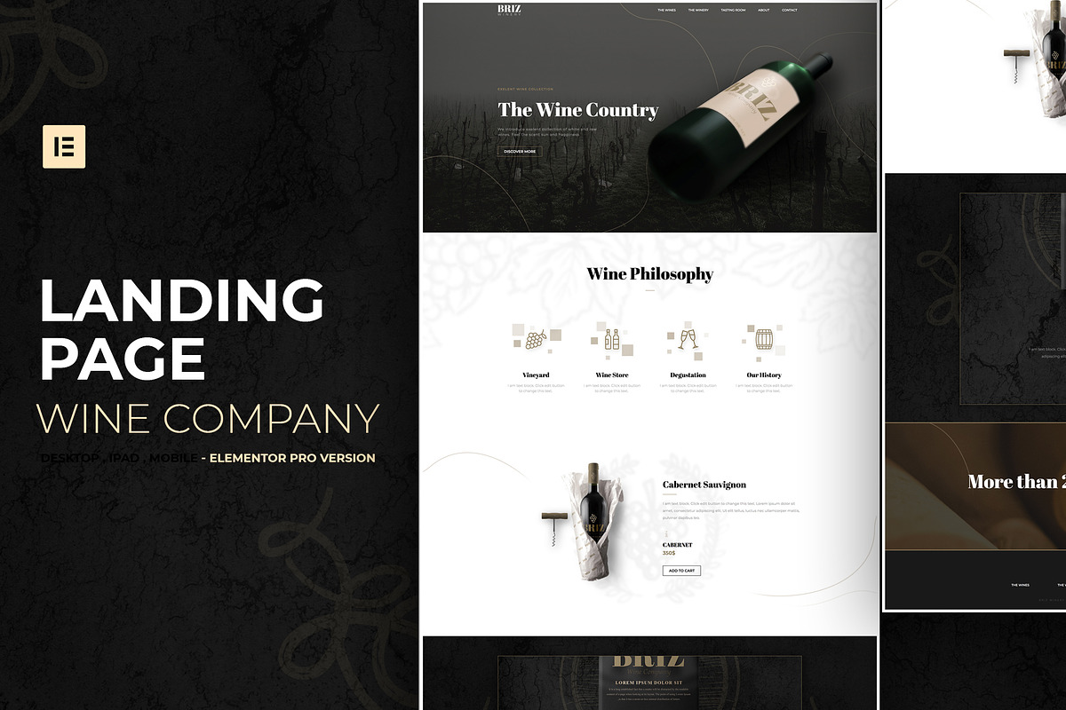 Wine Company - Elementor Pro Layout, a Landing Page Template by Ceaso Store (Photo 1 of 3)