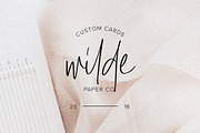 Amaro | Script + 6 Free Logos, a Script Font by Jen Wagner Co (Thumbnail 6 of 12)