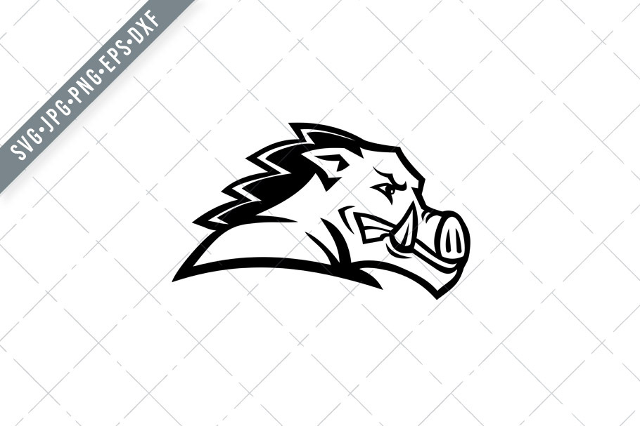 Wild Boar or Razorback Head SVG, an Education Illustration by patrimonio