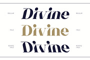 CS Botanica – Elegant Font, a Serif Font by Craft Supply Co. (Thumbnail 4 of 8)