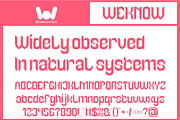 Melancholic Romance font, a Font by weknow (Thumbnail 4 of 8)