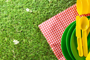 Picnic Tableware on Checkered Blanket, a Holiday Photo by Davizro's Market