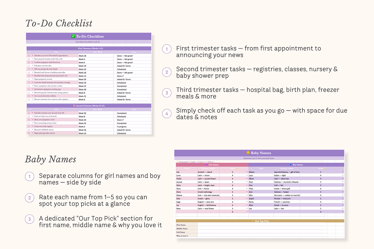 Pregnancy Planner Excel Spreadsheet, a Design Template by Matisse Studio (Photo 4 of 10)